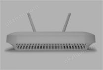 AP 7562—室外接入點