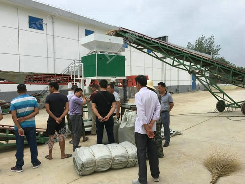 定量大米包裝機(jī) 25公斤定量大米包裝機(jī)