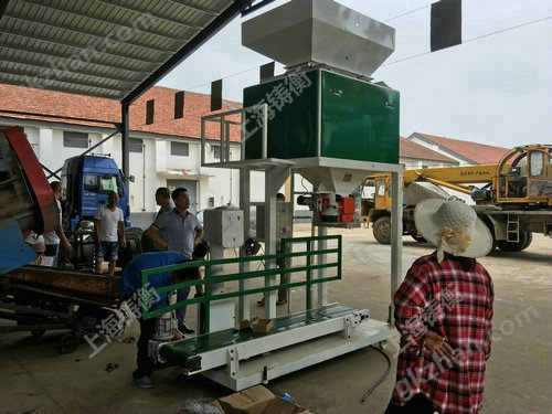 双秤玉米包装机厂家