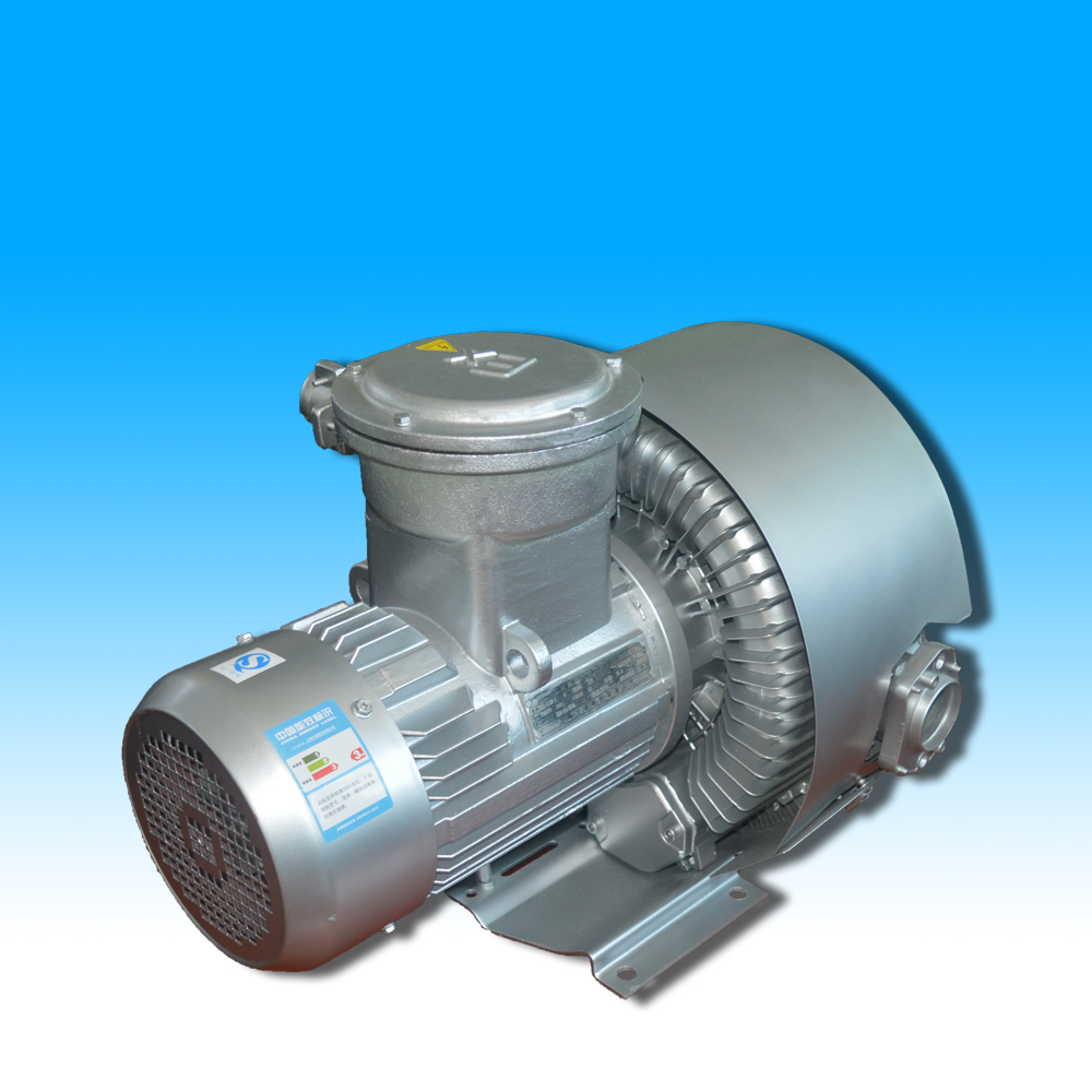 双叶轮防爆旋涡气泵